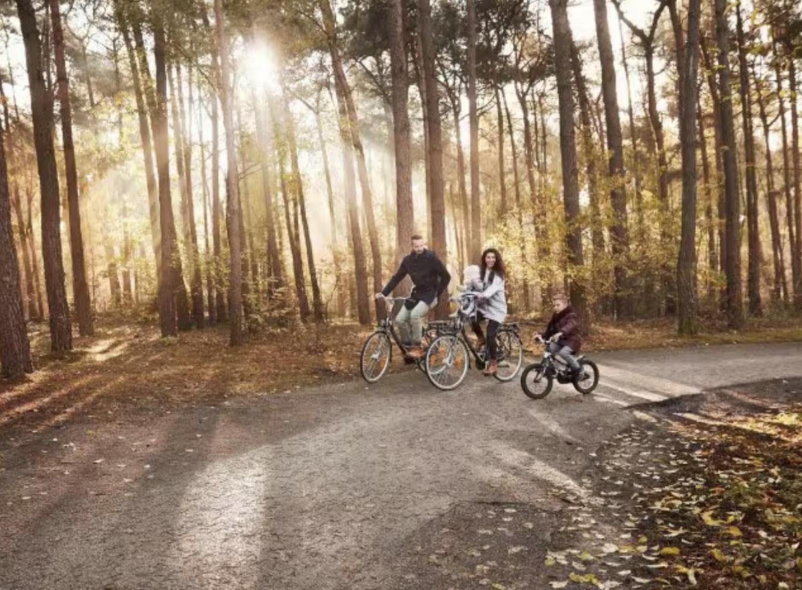 Glamping Lodge With Eco-Wellness Zeewolde Exteriér fotografie